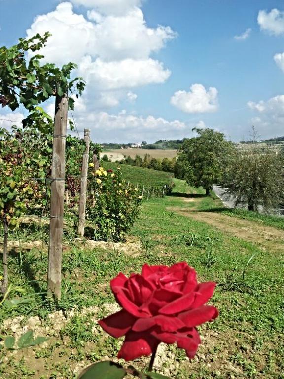 B&B Vigneto Pardom Montiglio Exterior photo